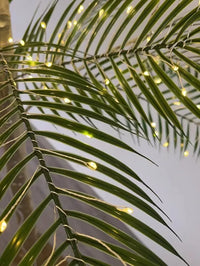 Thumbnail for Palmier Lumineux Extérieur