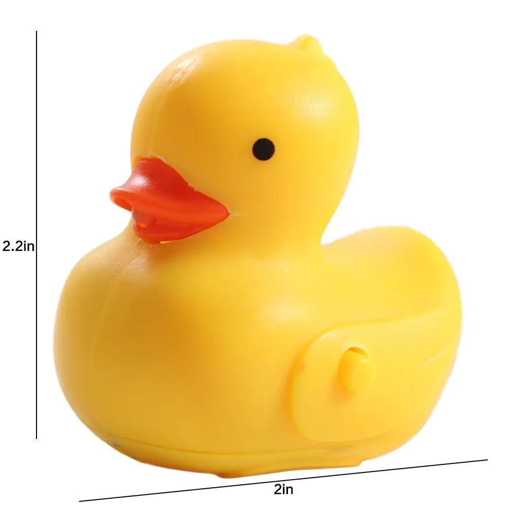 Canard Porte Clé