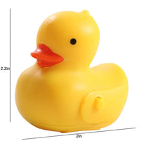 Thumbnail for Canard Porte Clé