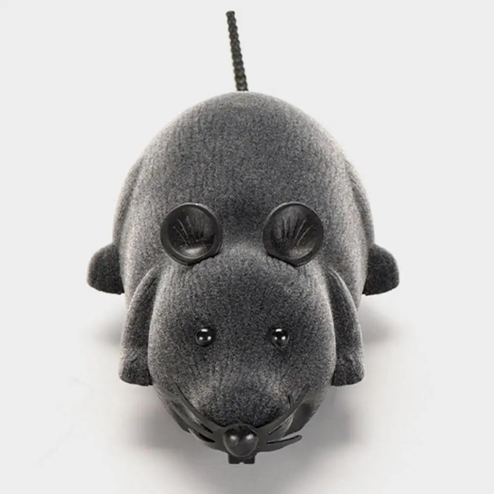 fausse souris vue de près