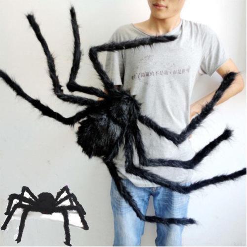 Fausse Araignée Géante