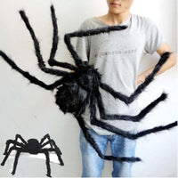 Thumbnail for Fausse Araignée Géante