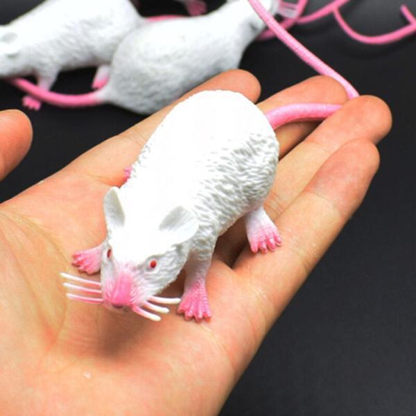 Fausse souris