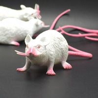 Thumbnail for Fausse souris