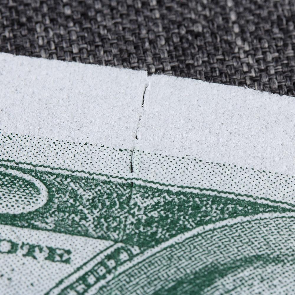 Papier Toilette Dollars
