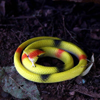 Thumbnail for Faux Serpents Réalistes