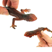 Thumbnail for Lézard en Plastique