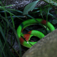 Thumbnail for Faux Serpents Réalistes