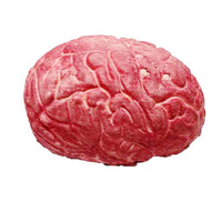Thumbnail for Cerveau en Plastique