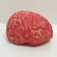 Thumbnail for Faux Cerveau en Plastique