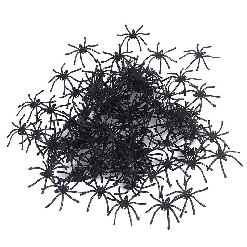 Araignée Groupe
