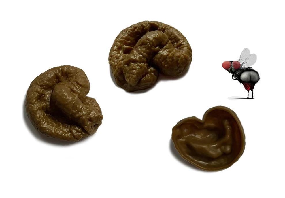 Faux Caca de Chien