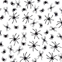Thumbnail for false spiders insects