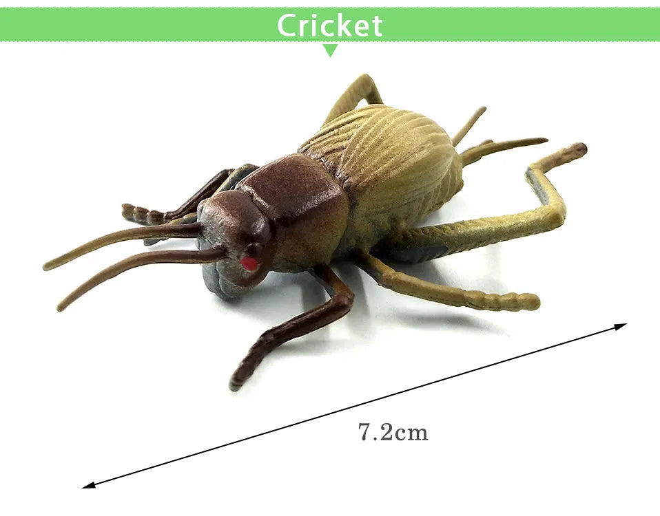 Faux Insectes En Plastique