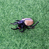 faux scarabée jouet