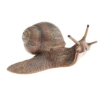figurine escargot