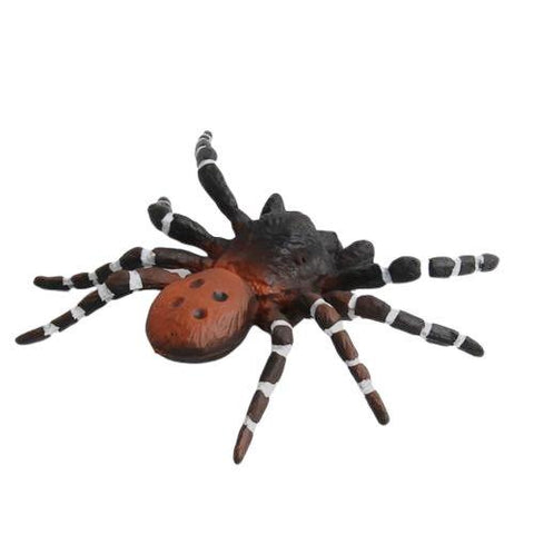 Araignée Plastique Réaliste