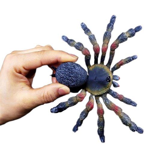 Fausse Araignée Coloré Très Réaliste