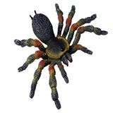 Fausse Araignée<br> Araignée Multicolore