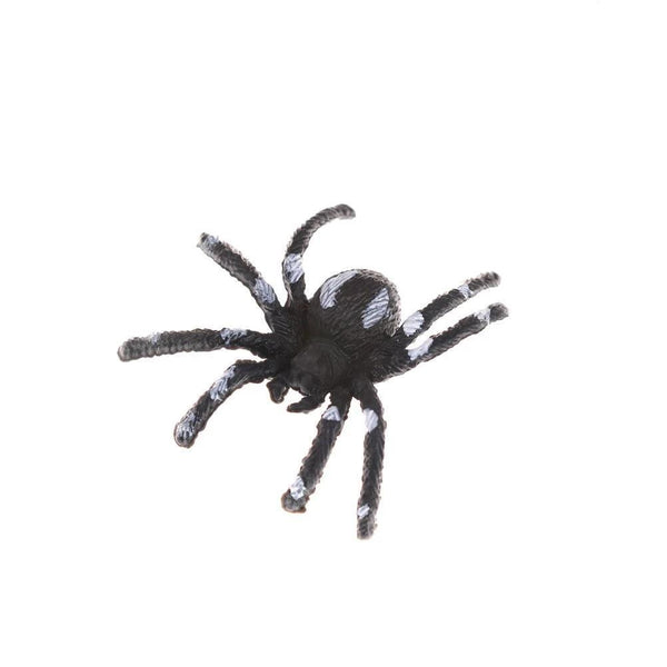 Araignée en Plastique
