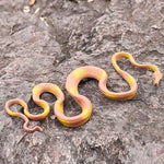 Serpent Caoutchouc