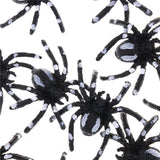 Groupe d'araignée en plastique