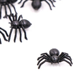 Fausse Araignée<br> Araignées en Plastique pour Halloween