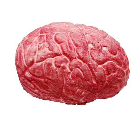 Cerveau en Plastique