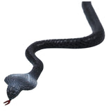 Faux Serpent Cobra