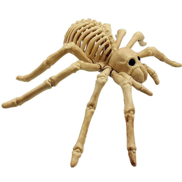Araignée Squelette